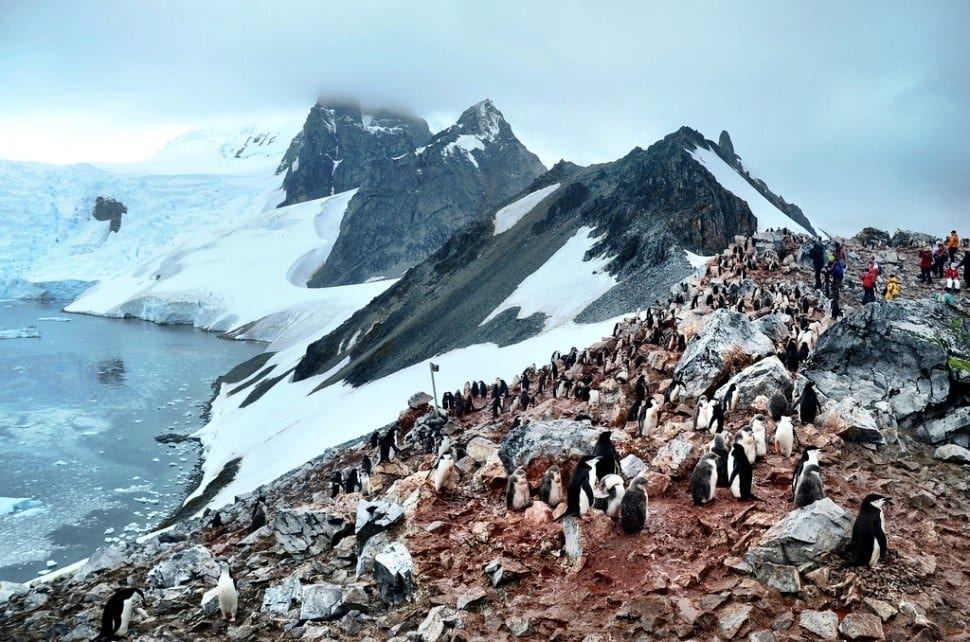 antarctica
